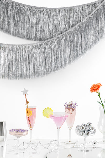 fringe slinger zilveren feest deco decoratie verjaardag